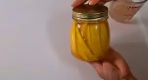 طريقة تخزين المانجو الزبدية